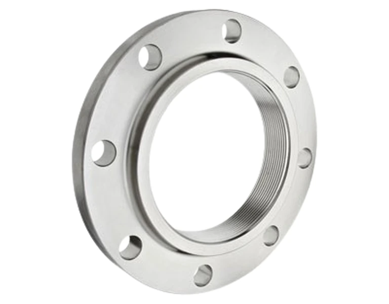 Representative threaded stainless steel flanges configuration