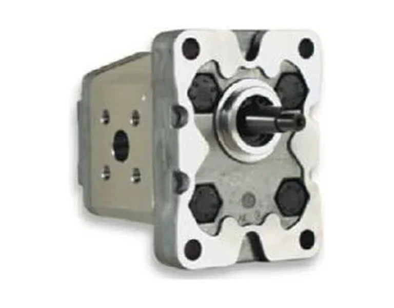 Representative group 1 cast iron gear pumps (1pfc) configuration