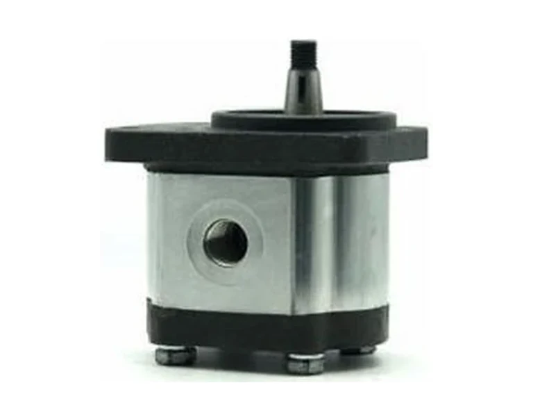 Representative group 2 cast iron gear pumps (2gpm) configuration