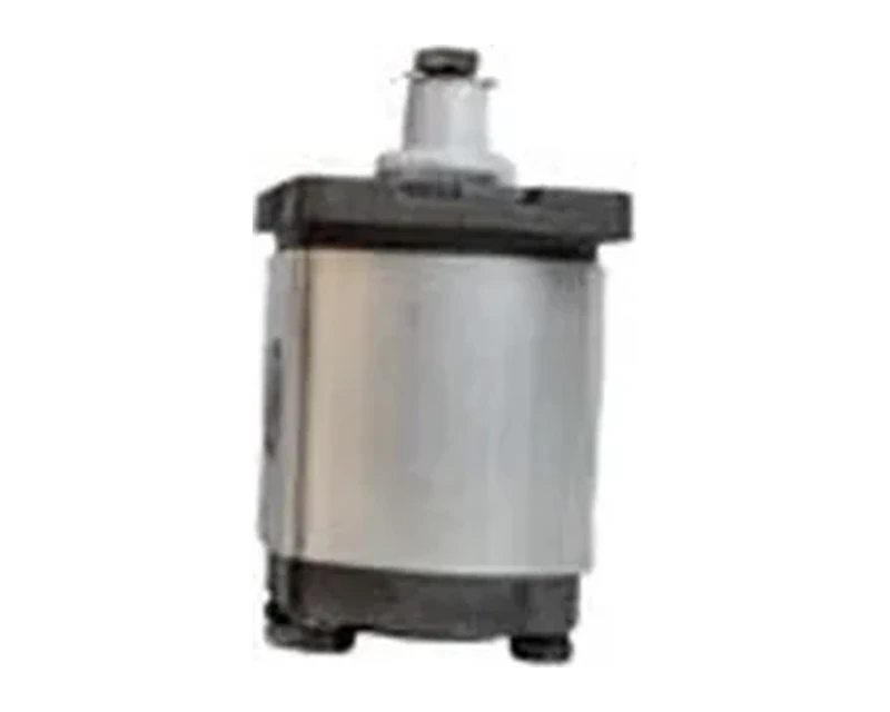 Representative group 2 hydraulic gear motors (bhm2) configuration
