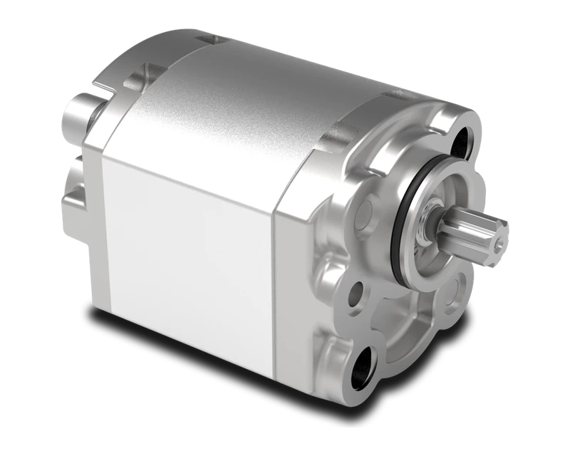 Representative 1spa - group 1 gear pumps configuration