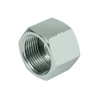 D-AFRICAN-HOSE-SOLUTIONS-ADAPTOR-FF304C-ORFS-CAP